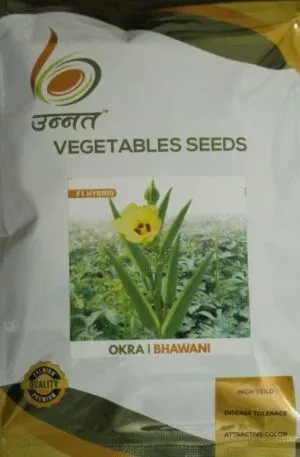 OKRA-BHAWANI