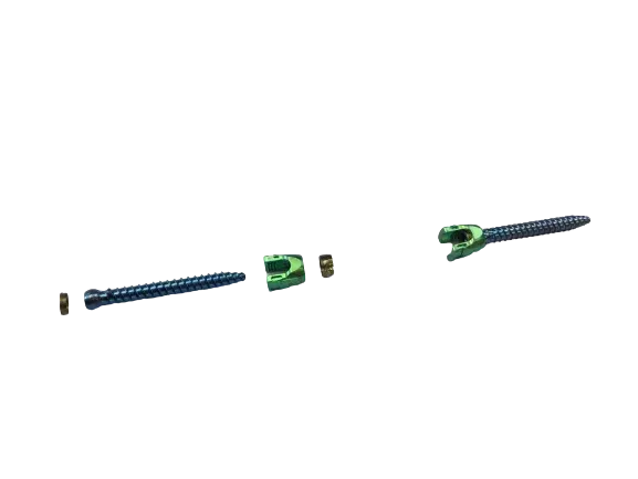Pedicle screws and head assembly
