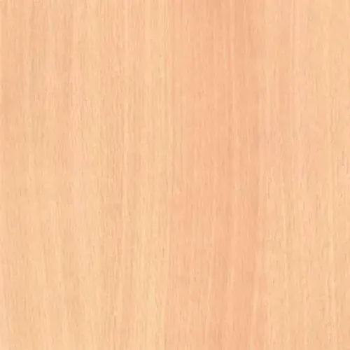 Leo Classic Bagasse Board