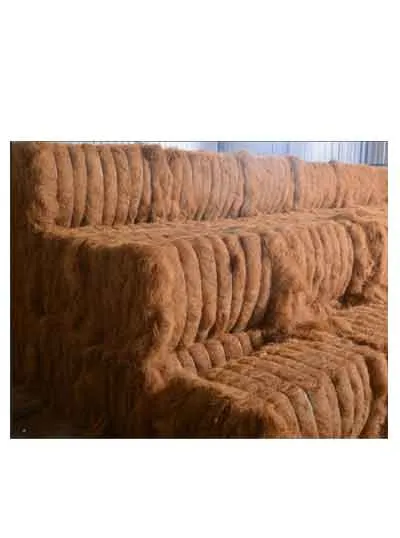 Coir Fibre