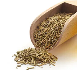 Fennel