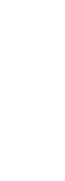 SHEAR CONNECTOR