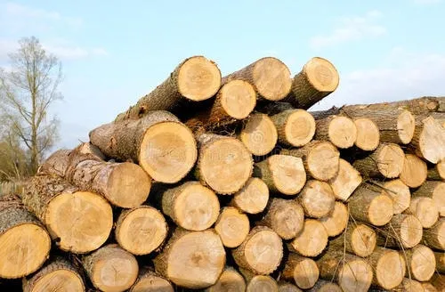 Pinewood Logs view 3