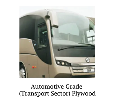 Automotive Grade Plywood (Transport sector)