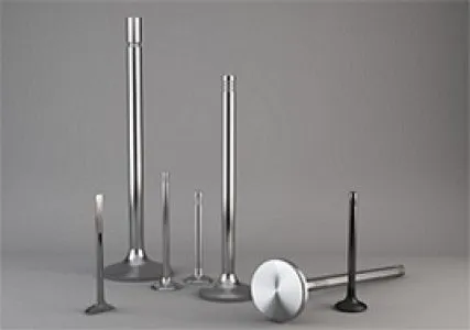 Engine Valves