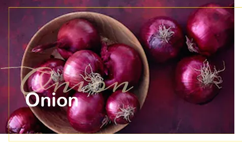 Onion