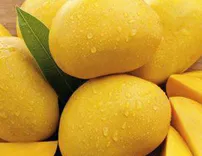 ALPHONSO MANGO