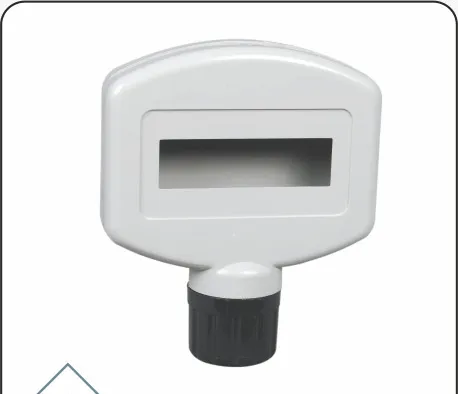 WEIGHING DISPLAY