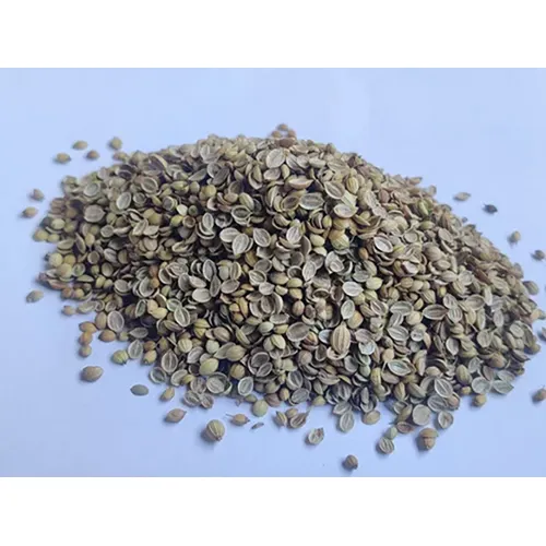 SRK Classic Coriander Split