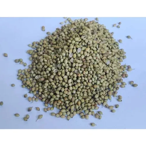 SRK Premium Whole Coriander Seed