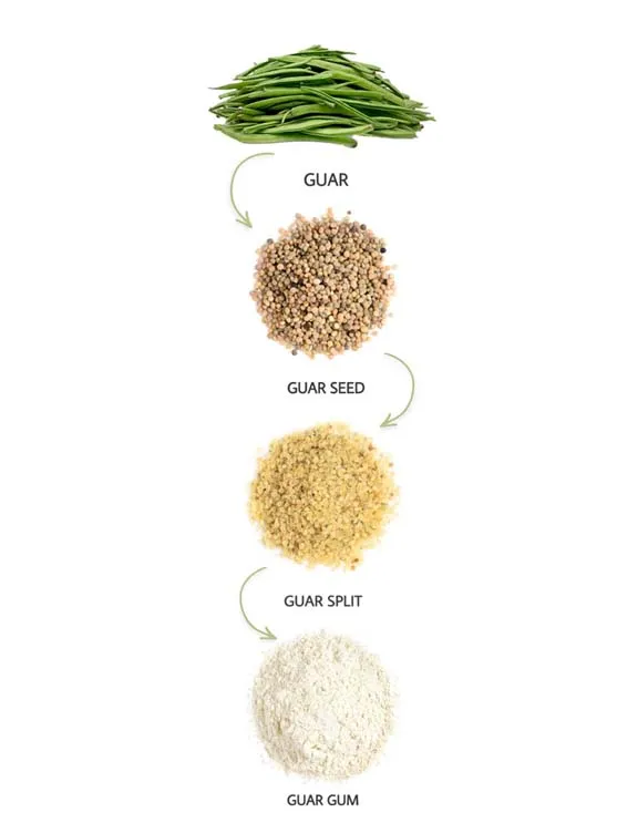 Guar Gum Powder view 3