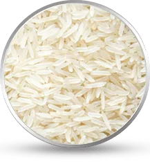 Agro Commodities