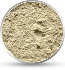 Sesbania Gum Powder