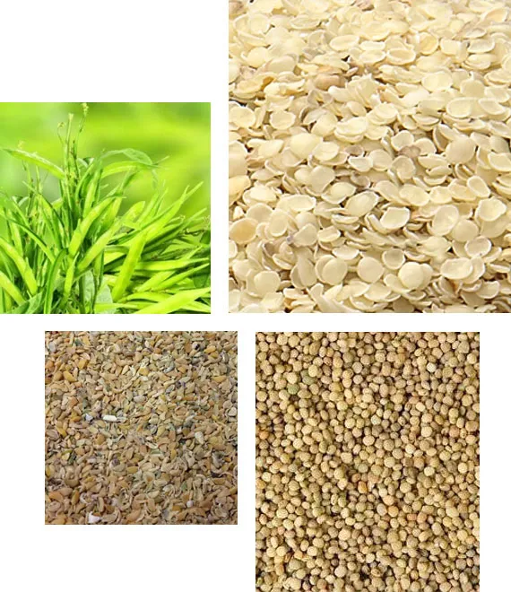 Guar Split
