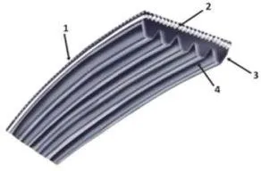 Ribbed Belts