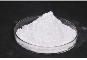 Phosphate Solubilizing Bacteria Powder