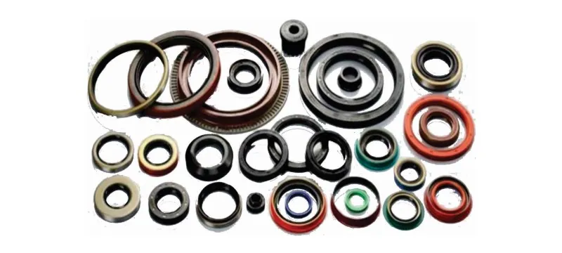 Oil Seals