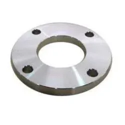 Stainless Steel Plate Flanges