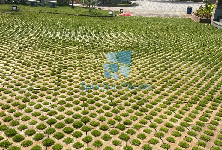 Grass Pavers