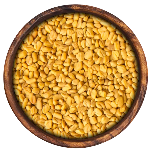 Fenugreek