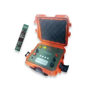 Permitted Delay Electronic Detonators
