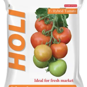 Holi