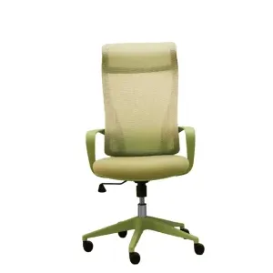 ErgoMesh Comfort Office Chair – Sage Green