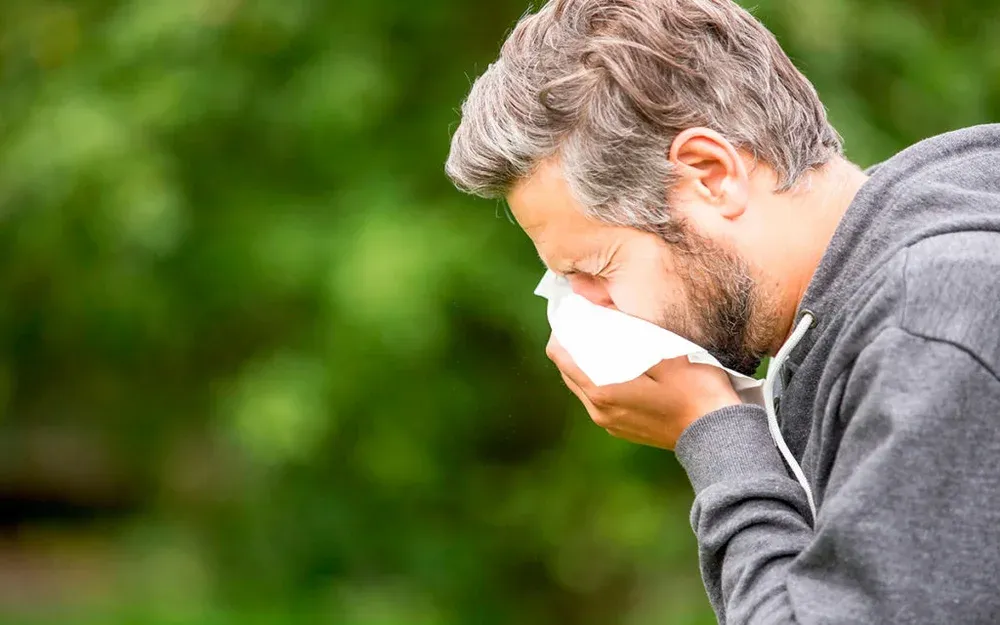 Antihistamine Drugs