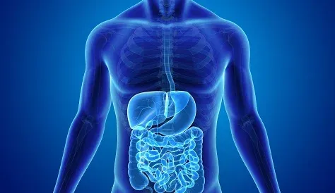 Gastroenterology Drugs